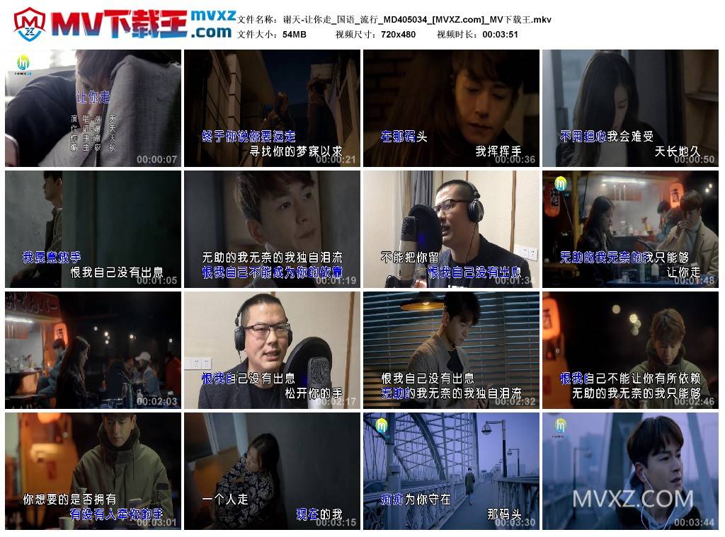 谢天-让你走_国语_流行_MD405034